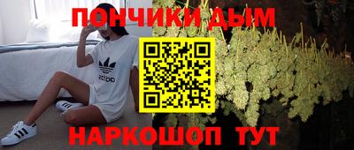 мдпв Обь