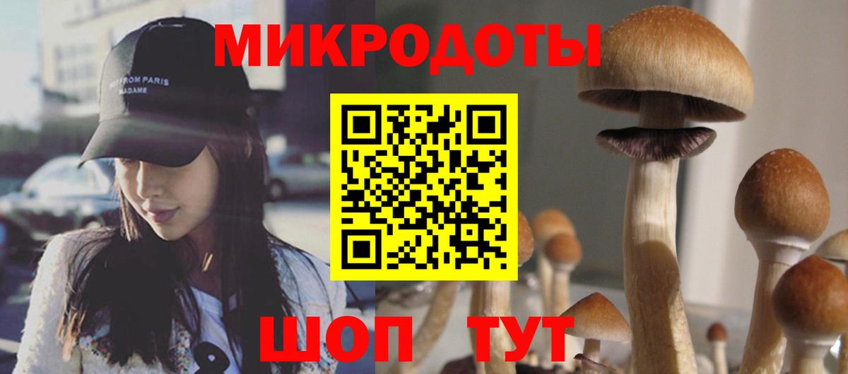 Псилоцибиновые грибы мухоморы  Вход с VPN  Сургут 