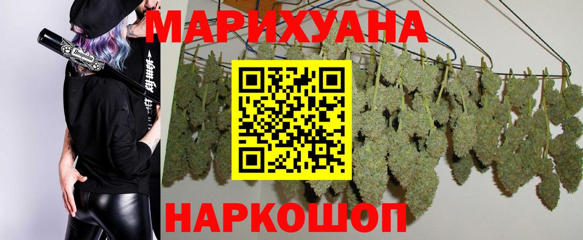 Каннабис индика Сургут